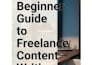 write SEO articles and blog posts for US businesses